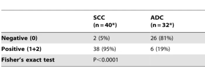 Table 5. Immunostaining of KRT81in squamous cell carcinomas and adenocarcinomas.