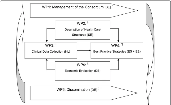 Figure 1 Overview the European project ‘RightTimePlaceCare. * Work Package (WP) leaders are mentioned in brackets; DE = Germany; SE = Sweden; NL = Netherlands; ES = Spain; EE = Estonia; † WP2 aims to describe and analyze European health, social and welfare