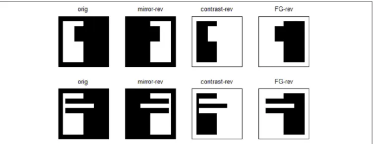 FIGURE 2 | Chosen images and their mirror-reversals,