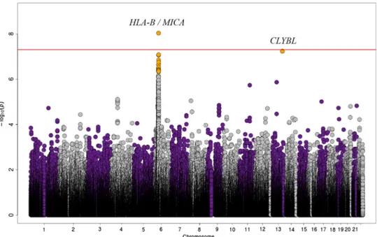Figure 5 Manhattan plot showing the meta-analysis comprising 1922 cases and 7087 controls from all the studied populations (The Netherlands I, The Netherlands II, Spain and Sweden populations)