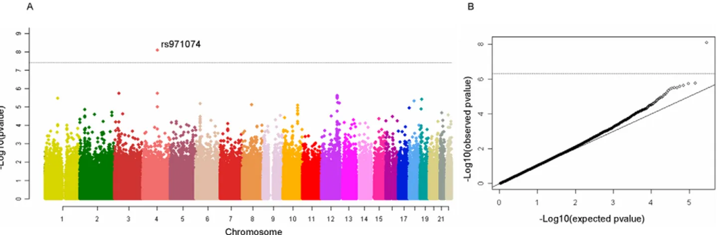Figure 1. Manhattan plot of the ARCAGE and CE UADT cancer GWAS discovery phase. One clearly outlying marker, rs971074 is highly correlated with rs1573496, a SNP previously associated with UADT cancer risk