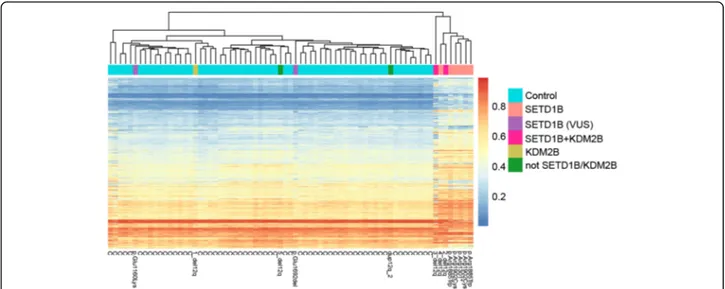 Fig. 2 SETD1B-related DNAm signature. Unsupervised hierarchical clustering of 3340 CpG sites identified in the SETD1B group analysis (DNAm of patients with certain pathogenic aberration/variation in SETD1B compared to that in healthy controls)