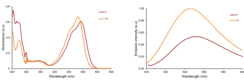 Figure  2.  Comparison  of  the  UV-vis  spectra  (left,  20   M)  and  fluorescence  emission  spectra  (right,  50  nM)  of  DEAdcCE  coumarin  alcohol  (11)  and  of  Fmoc-Asp(DEAdcCE)-OtBu  (7)  in  Tris  buffer  pH  7.5/ACN 1:1