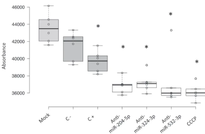 Figure 4. Mitochondrial Activity after Transfection with Specific miRNA-ASOs