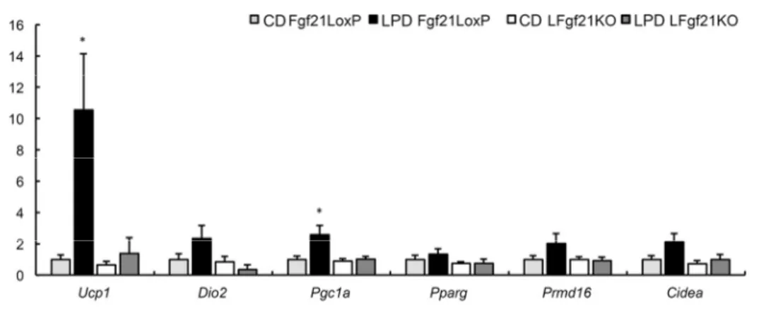 Figure 6. Hepatic FGF21 is required for inducing thermogenic gene expression during a LPD