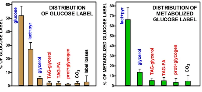 Figure 3  Percent distribution of labeled glucose (total label and metabolized glucose) after 24 h of incubation  by epididymal adipocytes 