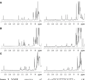 Figure 3. NMR spectra of d&lt;pTCGTTTCGTT&gt; (A), d(TCGTTTCGT) (B) and d(TCGTTCGT) (C) in H 2 O/D 2 O 9:1 at