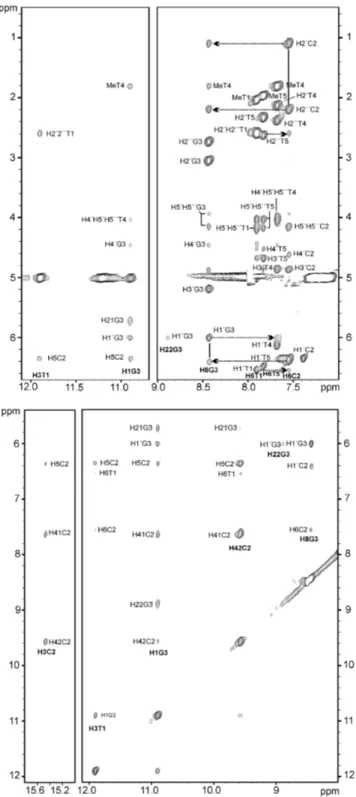 Figure 4. Regions of the NOESY spectra (t m = 300 ms) of