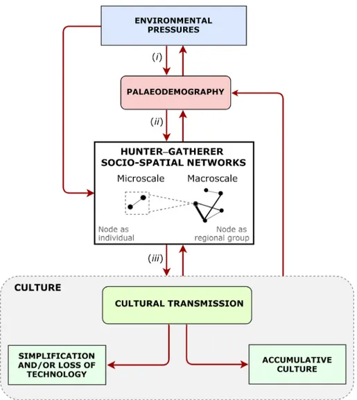 Fig. 3. A framework outlining the dynamic relationship between palaeodemography, socio-spatial structure and cultural transmission in human societies