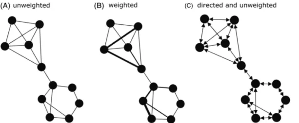 Fig. 2. Theoretical networks of macro-regional interactions. A node (i.e. circle) represents a regional group, and edges (i.e