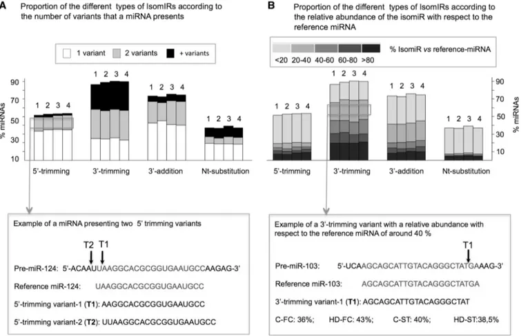 Figure 1. Histogram displaying the percentage of miRNAs with different types of IsomiRs (5 0 -trimming, 3 0 -trimming, 3 0 -additions and nucleotide substitutions), in C-FC (1), HD-FC (2), C-ST (3) and HD-ST (4) small RNA libraries