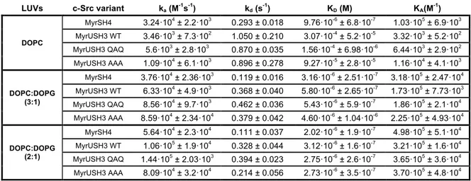 Table  S1.  SPR  derived  constants.  Related  to  Figure  5.  Kinetic  parameters  obtained  from  the  fitting  of  myristoylated  c-Src  variants  to  the  different  LUVs  applying the 1:1 Langmuir model using the Biacore T200 3.0 Evaluation