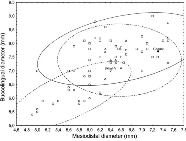 Figure 2. Bivariate scatterplot of the mesiodistal and buccolingual diameters in H. neanderthalensis (open squares),  H