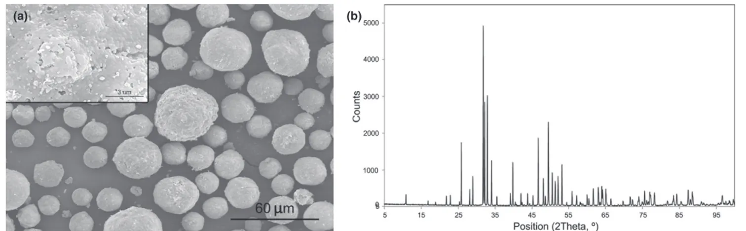 Fig. 1. (a) Morphology and (b) X-ray diﬀraction of the hydroxyapatite powder.