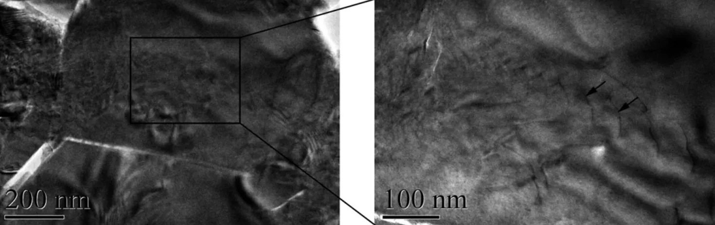 Fig. 10. Dislocation networks within a grain indicated by arrows at the magniﬁed micrograph.