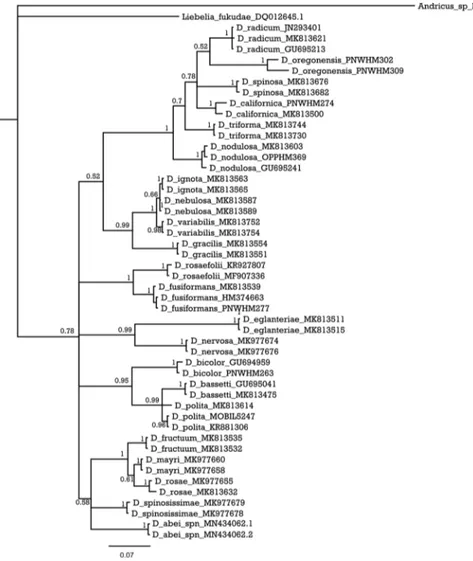 Figure 5. Bayesian inference (BI) tree of the Diplolepis species that have available mitochondrial COI  sequences
