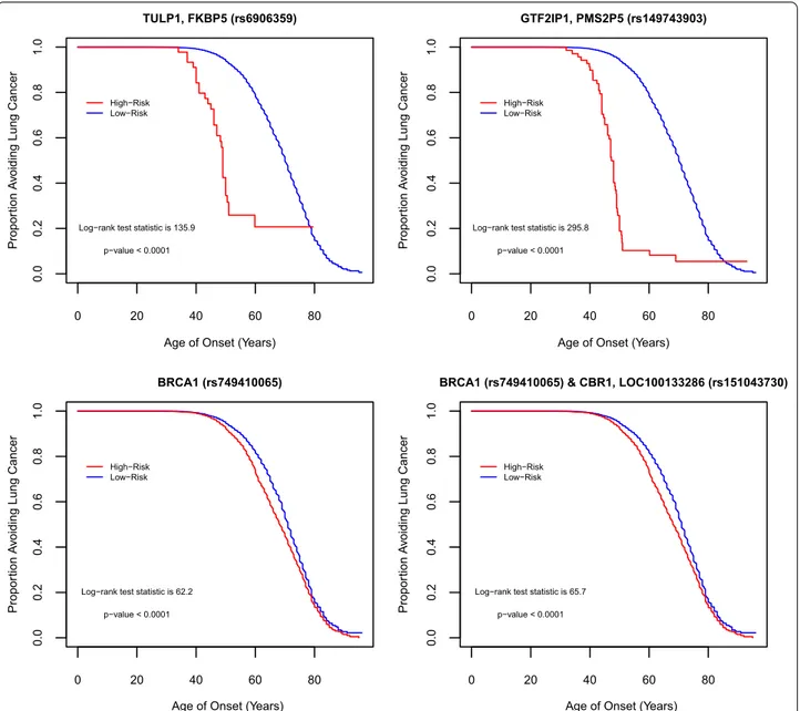 Fig. 4  Differences between High Risk (red curve) and Low Risk (blue curve) groups in relation to SNPs