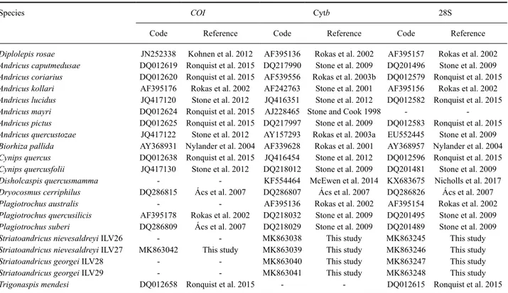 Table 1.  Sequences used in the molecular analyses separated by species and gene. Codes are from GenBank Database 