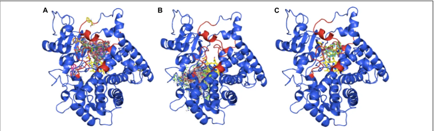 FIGURE 5 | Docking outputs for the candidate TB506 and the ligands ß-phenylalanine (A), ß-phenylalanine-CoA (B) and 3 0