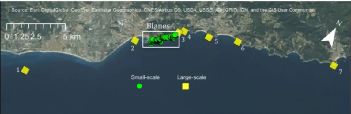 Figure 1.  Map of sampling area including the small-scale intensive sampling area (Blanes) and the large-scale 