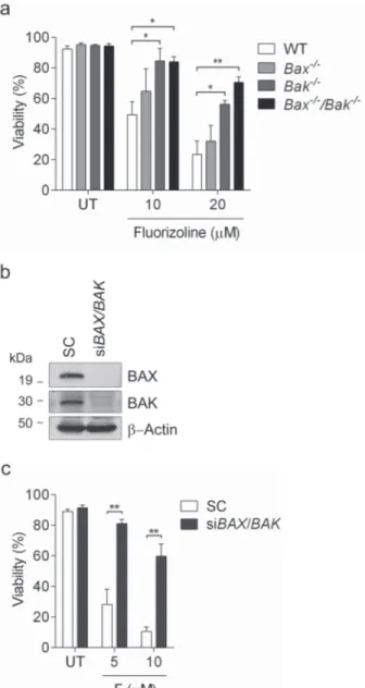 Figure  4:  Fluorizoline-induced  apoptosis  occurs  through  the  mitochondrial  pathway  in  a  BAX-  and 