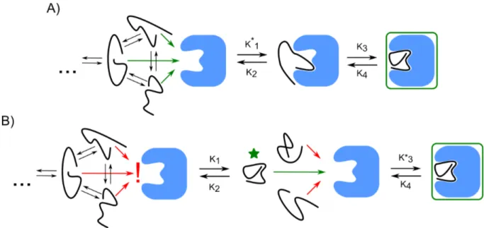 Figure 1.14: A) Induced fit vs B) conformational selection models. Asterisks indicate pseudo-first order steps.