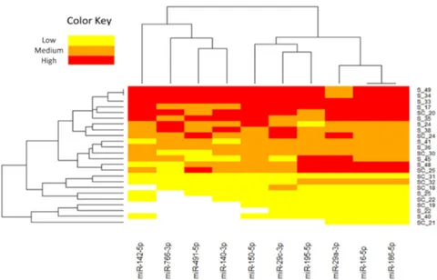 Figure 1. Hierarchical clustering heatmap of 10 miRNAs selected for the validation phase with a &gt; 