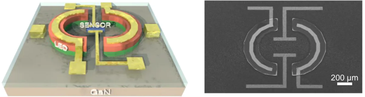 Fig.  5.1:  (left)  Schematic  illustration  and  (right)  SEM  image  of  the  gas  sensor  platform  with 