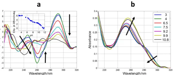 Figure 3.  Selected CD (a) and molecular absorption (b) spectra measured along the acid-base titration of 