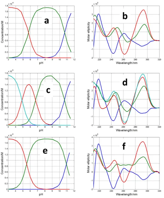 Figure  6  shows the calculated distribution diagrams and pure spectra for all the acid-base components pres- pres-ent along the pH-dependpres-ent folding of these three mutants