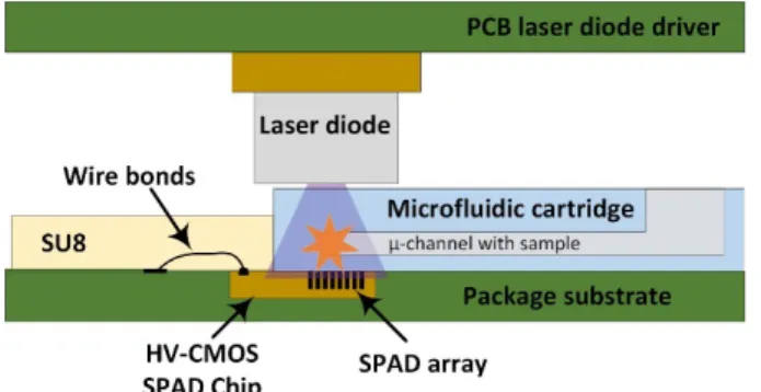 Figure 1. Cross-sectional sketch of the stack up of the system. The sample is introduced in one of the microchannels of the microfluidic cartridge, which is directly positioned on top of the SPAD array, where the wire bonds encapsulation with SU-8 prevents