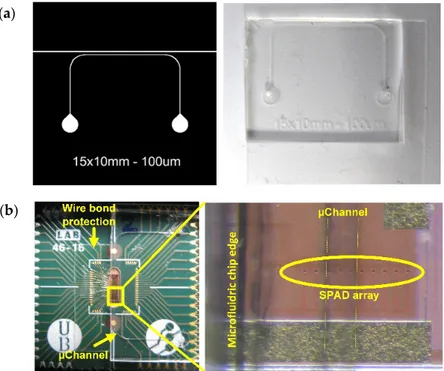 Figure 5. (a) Fully encapsulated SPAD Sensor Array chip using SU8 to protect the wire bonds; (b) SU8 wire bonds protection as stop for the microfluidic chip.