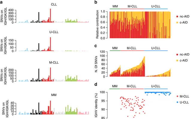 Fig. 4 Mutational signature landscape of immunoglobulin loci. a The 96-mutational classes of all SNV within IGH/IGK/IGL loci