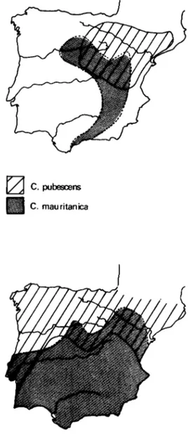 Fig. 1. — Área de distribución en la Península Ibérica. Límites aproximados, a) C. pubescens y C