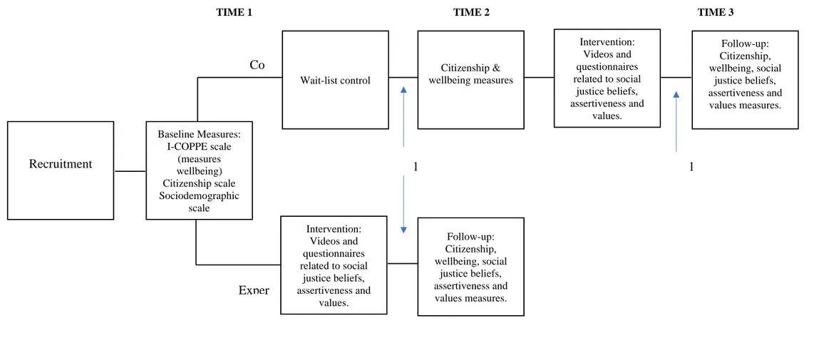 Figure 2. Flow diagram of the experiment 