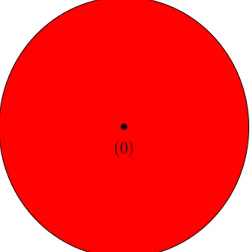 Figure 6: For the map z → z 2 , 0 is an attracting fixed point and its basin of attraction is exactly the disk D(0, 1) .