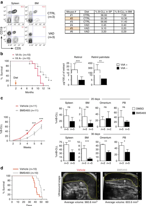 Fig. 5 Targeting RA-signaling controls disease progression and prolongs survival. a FACS analysis of control mice (n = 3) or VAD (n = 3) injected with leukemic cells