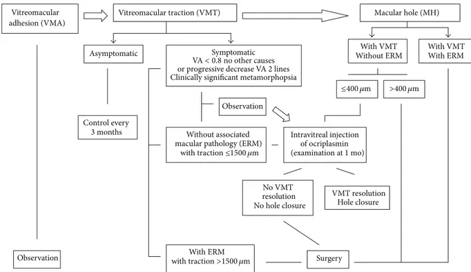 Figure 6: Treatment algorithm for VMA, VMT, and MH (VA: visual acuity, ERM: epiretinal membrane).