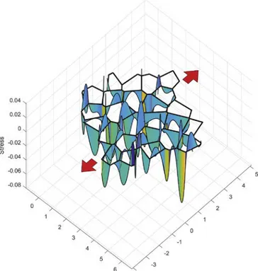 Fig. 5. Results from diffusion creep modelling in pure shear; 2D microstructure as in the starting frame of  Fig