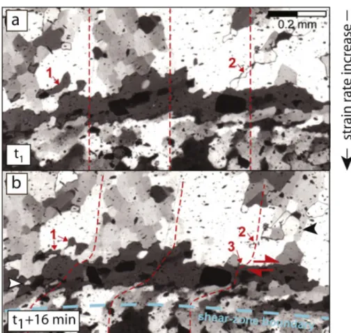 Fig. 1. Microstructural development during in-situ deformation of the rock analogue octochloropropane  within a circular shear zone (Bons and Jessell, 1999); dashed red lines indicate the shear distribution  between the two steps shown