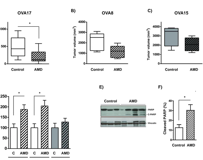 Figure 2 Tumor volume (mm3)A) B)*OVA17 Control          AMD Tumor volume (mm3) Control            AMDOVA15