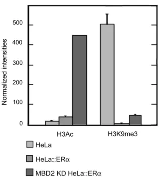 Figure 9. Histone H3 marks on pS2 promoter in presence or absence of MBD2 and/or ERa. HeLa cells, wild type (HeLa), expressing ectopically ERa (HeLa::ERa), and depleted in MBD2 and expressing ectopically ERa (MBD2 KD HeLa::ERa), were subjected to ChIP anal