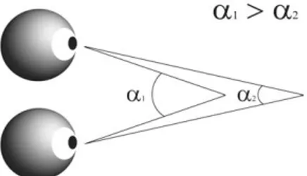 Figure 1. Schematic explanation of the angle of eye vergence. The eyes focus on a single point in space