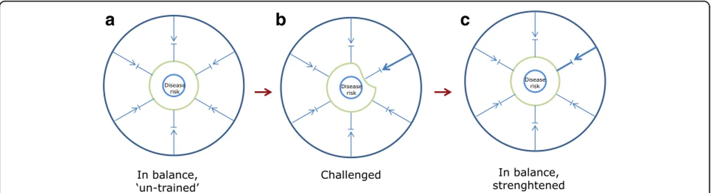 Fig. 6 System training by challenging. a In the naive, untrained but balanced state, the capacity to withstand a challenge is limited