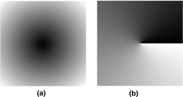 Fig. 7. Images of (a) the modulus and (b) the phase of the unity complex plane.