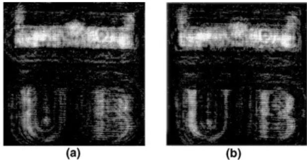 Fig. 12. Experimental recovered images: (a) at distance 500 mm (focusing the building), and (b) at 600 mm (focusing the letters).