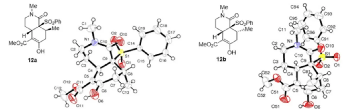 Table 2. Reaction of unsaturated lactam 6b with Nazarov reagent 9. 