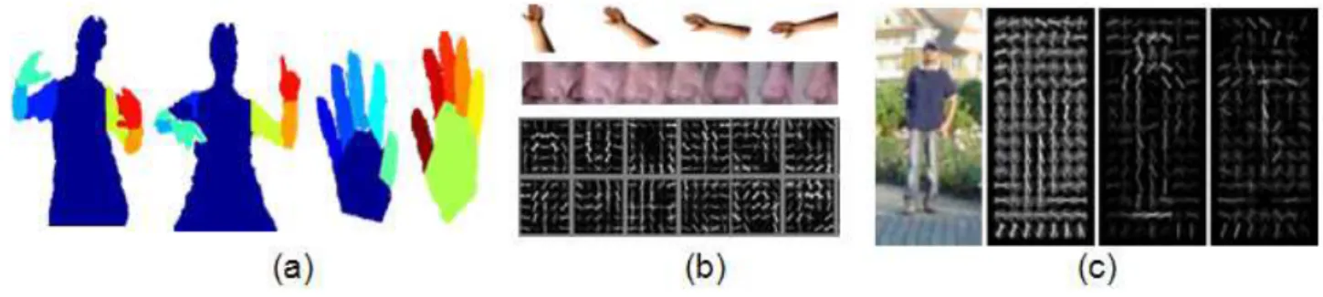 Figure 2. Examples of descriptors applied at pixel, local and global levels, respectively: (a) Graph cut approach for body and hands segmentation (frame extracted from [ 21 ]); (b) Steerable part basis (frame extracted from [ 25 ]); and (c) Image of a pers