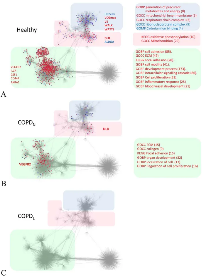 Figure 3. Training response of healthy and COPD individuals visualized on the integrated 8 weeks training network