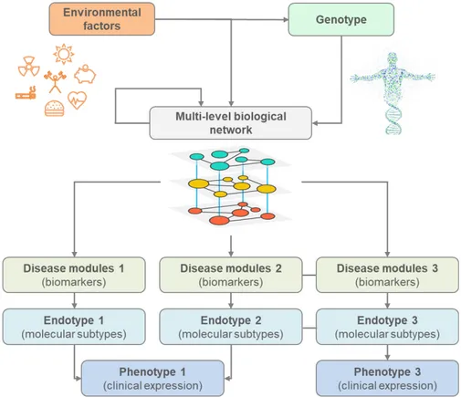 Figure 4. Systems model of disease. Different levels of biological conceptualization  of disease, showing the associations between genes, environment, biomarkers,  endotypes and phenotypes